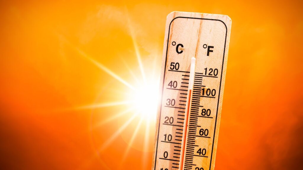 Surviving the Heat: Beat the Scorching Sun and Conquer Heat-Related Illnesses