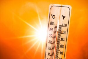 Surviving the Heat: Beat the Scorching Sun and Conquer Heat-Related Illnesses