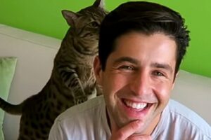 Credit: BFvsGF Wikimedia Commons